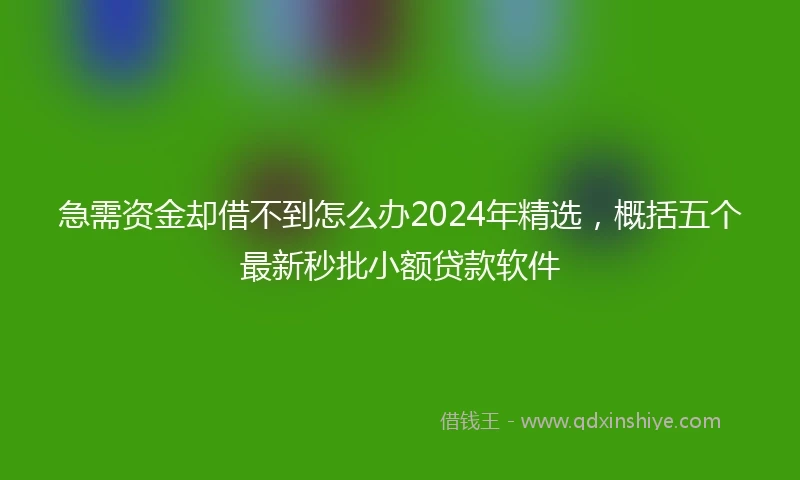 急需资金却借不到怎么办2024年精选，概括五个最新秒批小额贷款软件