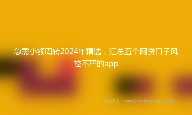 急需小额周转2024年精选，汇总五个网贷口子风控不严的app