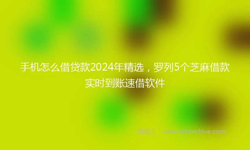 手机怎么借贷款2024年精选，罗列5个芝麻借款实时到账速借软件