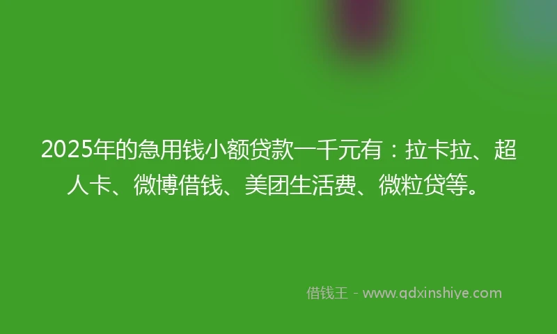 2025年的急用钱小额贷款一千元有：拉卡拉、超人卡、微博借钱、美团生活费、微粒贷等。