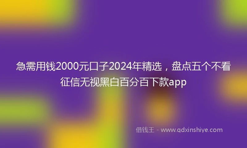 急需用钱2000元口子2024年精选，盘点五个不看征信无视黑白百分百下款app
