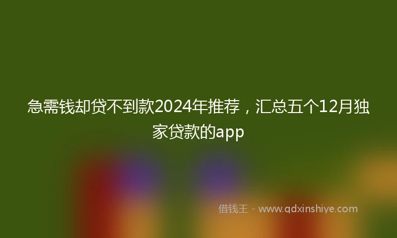 急需钱却贷不到款2024年推荐，汇总五个12月独家贷款的app