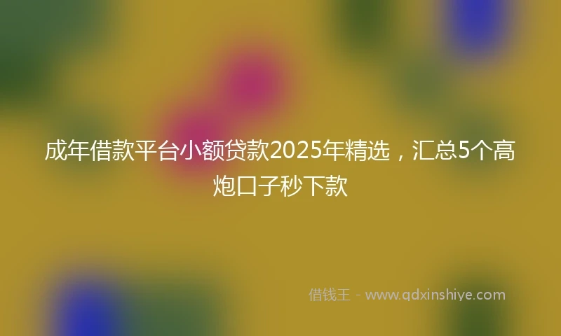 成年借款平台小额贷款2025年精选，汇总5个高炮口子秒下款