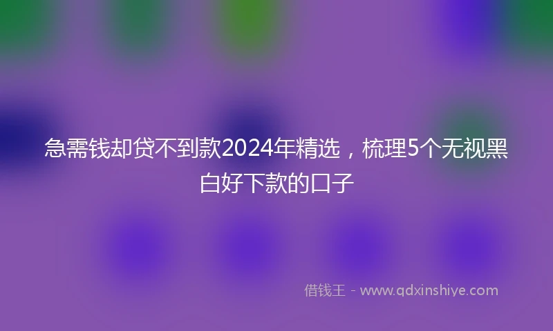 急需钱却贷不到款2024年精选，梳理5个无视黑白好下款的口子