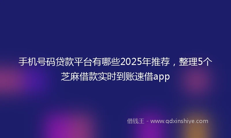 手机号码贷款平台有哪些2025年推荐，整理5个芝麻借款实时到账速借app