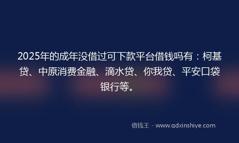 2025年的成年没借过可下款平台借钱吗有:柯基贷、中原消费金融、滴水贷、你我贷、平安口袋银行等。