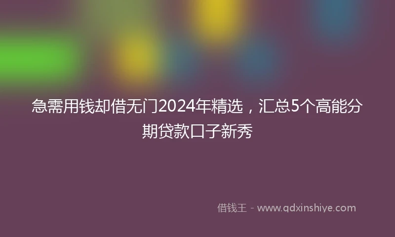 急需用钱却借无门2024年精选，汇总5个高能分期贷款口子新秀