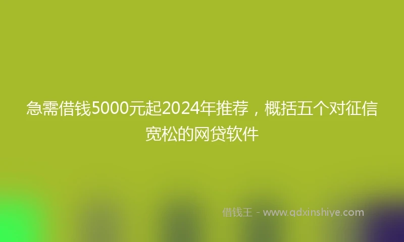 急需借钱5000元起2024年推荐，概括五个对征信宽松的网贷软件