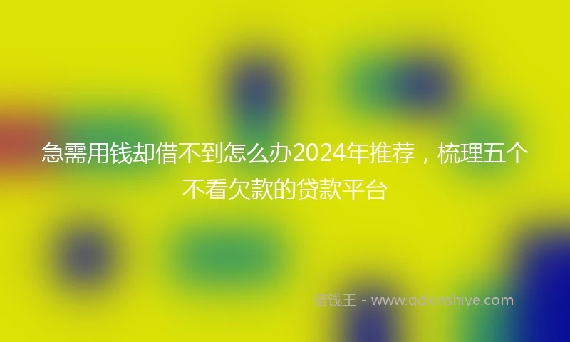 急需用钱却借不到怎么办2024年推荐，梳理五个不看欠款的贷款平台