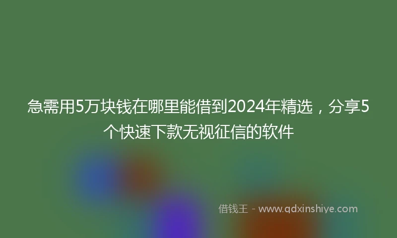 急需用5万块钱在哪里能借到2024年精选，分享5个快速下款无视征信的软件
