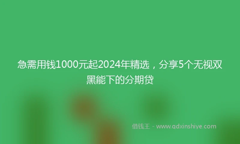 急需用钱1000元起2024年精选，分享5个无视双黑能下的分期贷