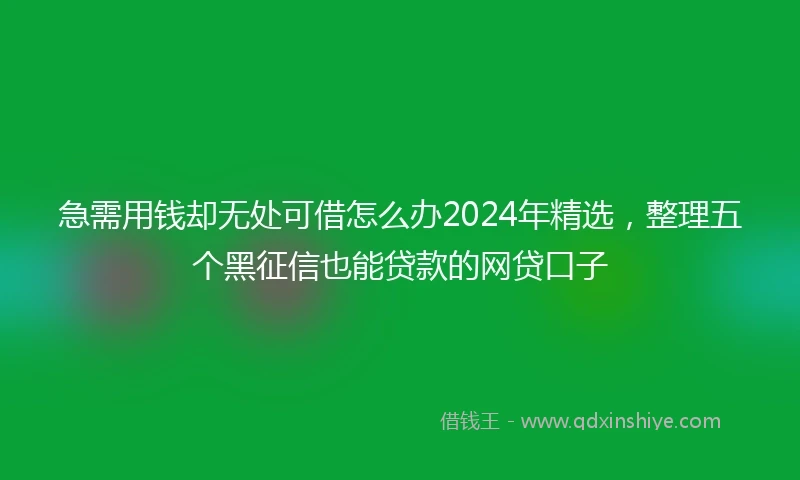 急需用钱却无处可借怎么办2024年精选，整理五个黑征信也能贷款的网贷口子