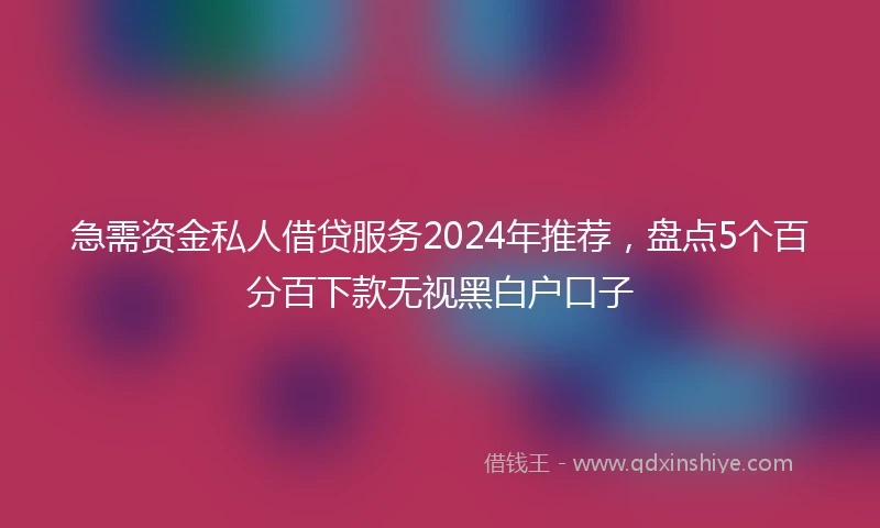 急需资金私人借贷服务2024年推荐，盘点5个百分百下款无视黑白户口子