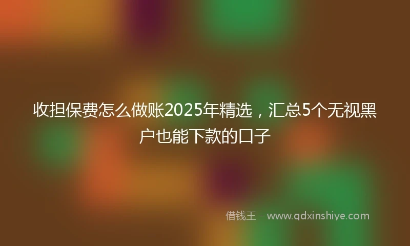 收担保费怎么做账2025年精选，汇总5个无视黑户也能下款的口子