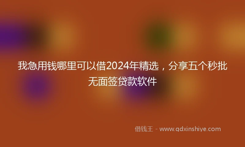 我急用钱哪里可以借2024年精选，分享五个秒批无面签贷款软件