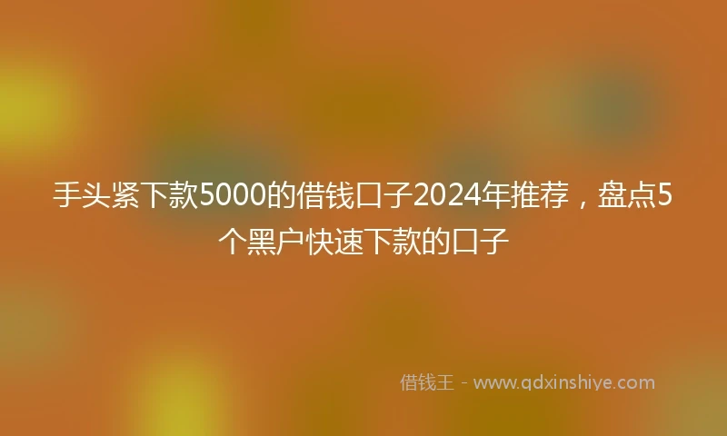 手头紧下款5000的借钱口子2024年推荐，盘点5个黑户快速下款的口子