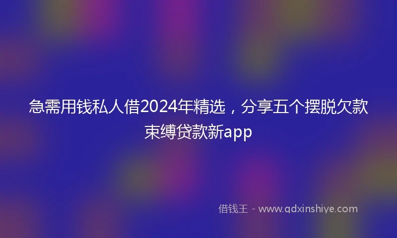 急需用钱私人借2024年精选，分享五个摆脱欠款束缚贷款新app