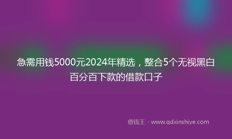 急需用钱5000元2024年精选，整合5个无视黑白百分百下款的借款口子