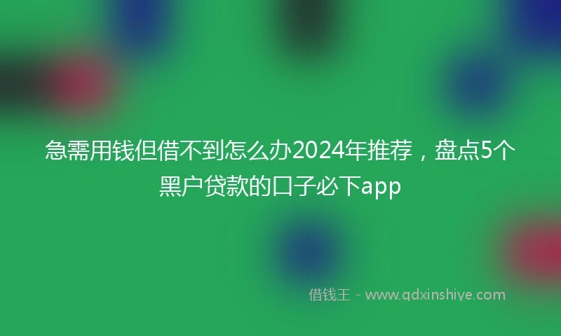急需用钱但借不到怎么办2024年推荐，盘点5个黑户贷款的口子必下app