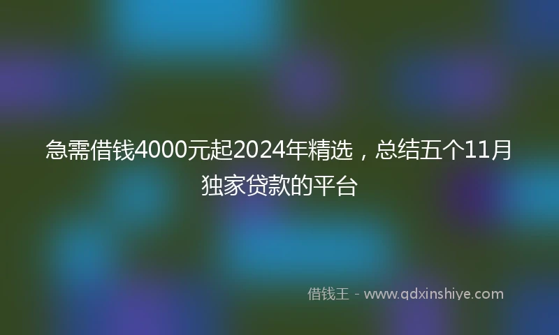 急需借钱4000元起2024年精选，总结五个11月独家贷款的平台
