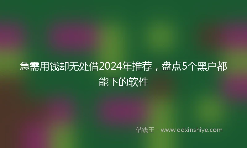 急需用钱却无处借2024年推荐，盘点5个黑户都能下的软件