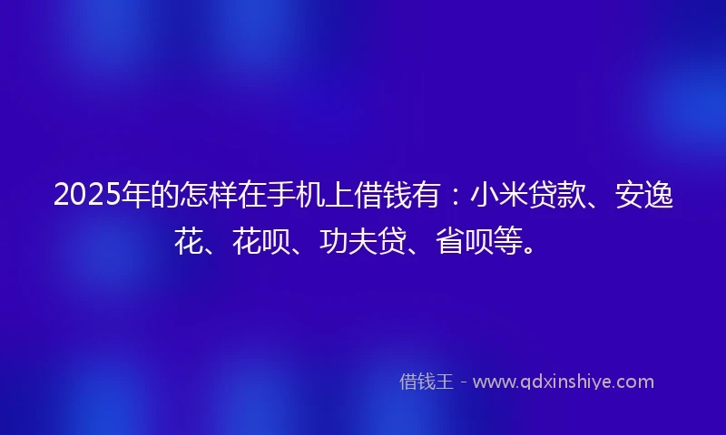 2025年的怎样在手机上借钱有：小米贷款、安逸花、花呗、功夫贷、省呗等。