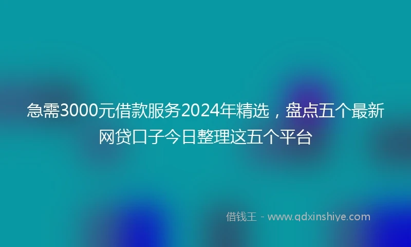 急需3000元借款服务2024年精选，盘点五个最新网贷口子今日整理这五个平台