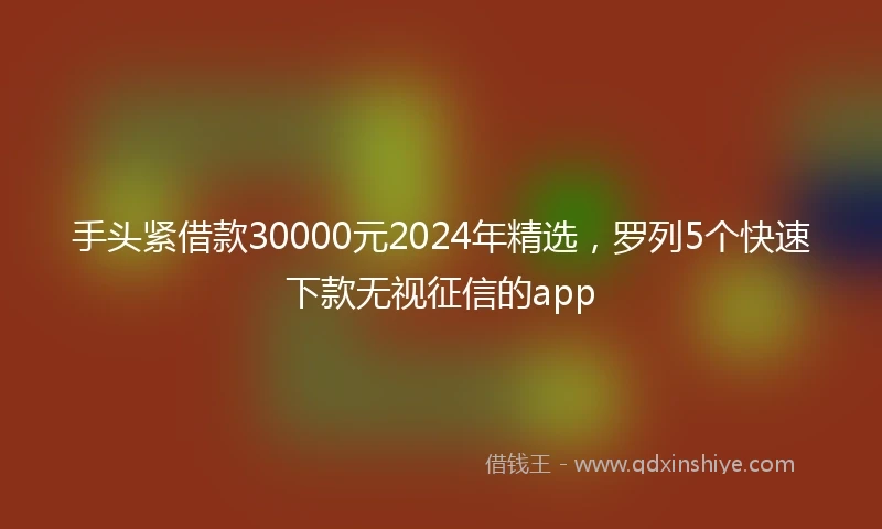 手头紧借款30000元2024年精选，罗列5个快速下款无视征信的app