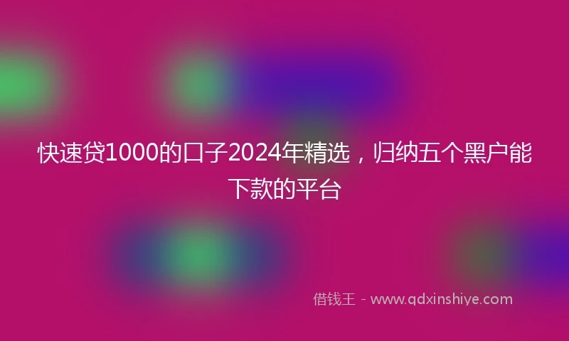 快速贷1000的口子2024年精选，归纳五个黑户能下款的平台
