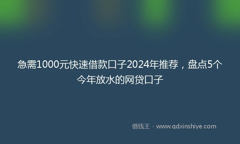 急需1000元快速借款口子2024年推荐，盘点5个今年放水的网贷口子