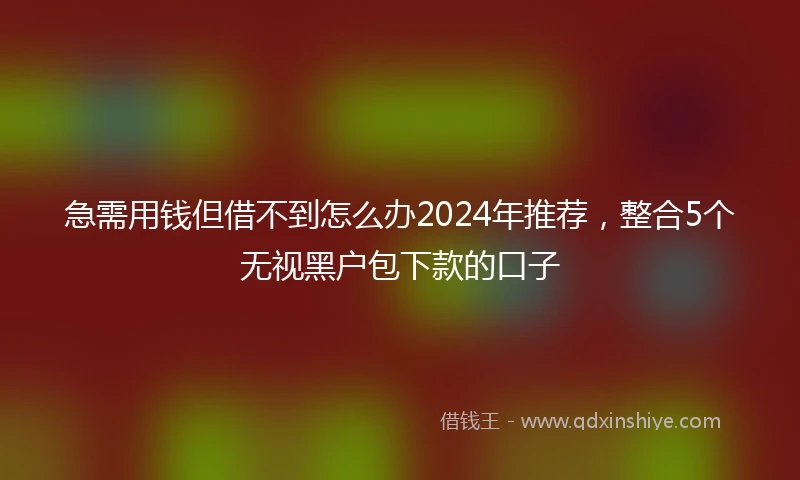 急需用钱但借不到怎么办2024年推荐，整合5个无视黑户包下款的口子