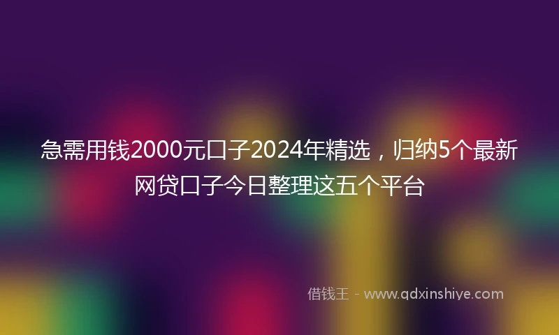 急需用钱2000元口子2024年精选，归纳5个最新网贷口子今日整理这五个平台