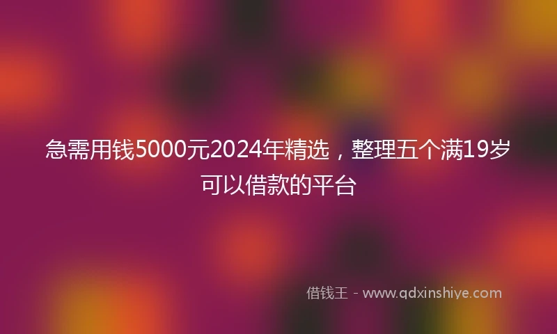 急需用钱5000元2024年精选，整理五个满19岁可以借款的平台