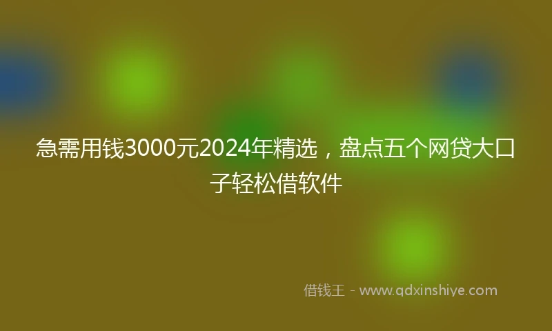 急需用钱3000元2024年精选，盘点五个网贷大口子轻松借软件