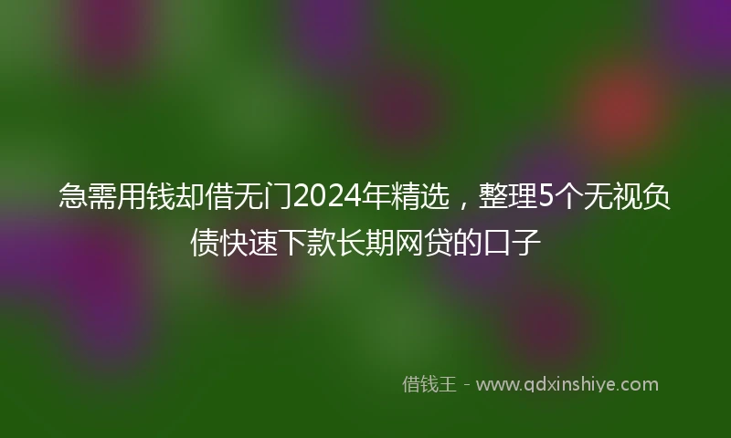 急需用钱却借无门2024年精选，整理5个无视负债快速下款长期网贷的口子