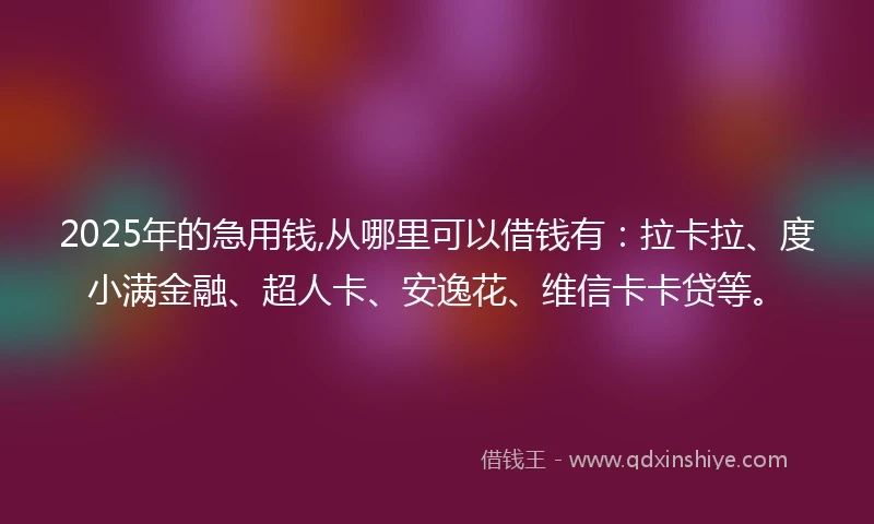 2025年的急用钱,从哪里可以借钱有：拉卡拉、度小满金融、超人卡、安逸花、维信卡卡贷等。