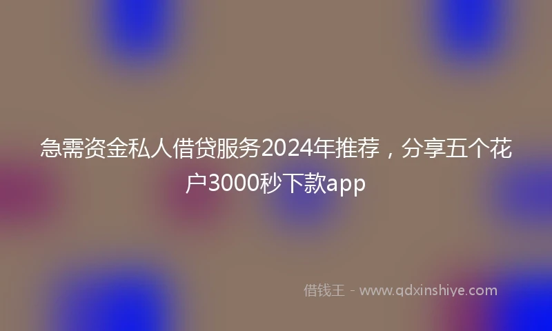急需资金私人借贷服务2024年推荐，分享五个花户3000秒下款app