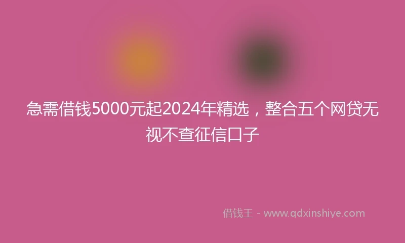 急需借钱5000元起2024年精选，整合五个网贷无视不查征信口子