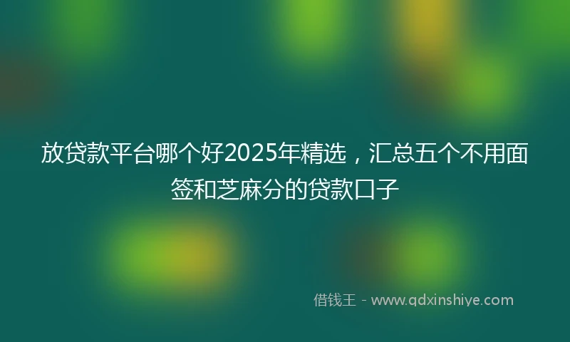 放贷款平台哪个好2025年精选，汇总五个不用面签和芝麻分的贷款口子
