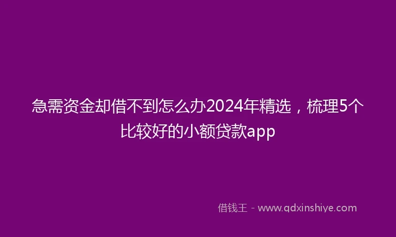 急需资金却借不到怎么办2024年精选，梳理5个比较好的小额贷款app