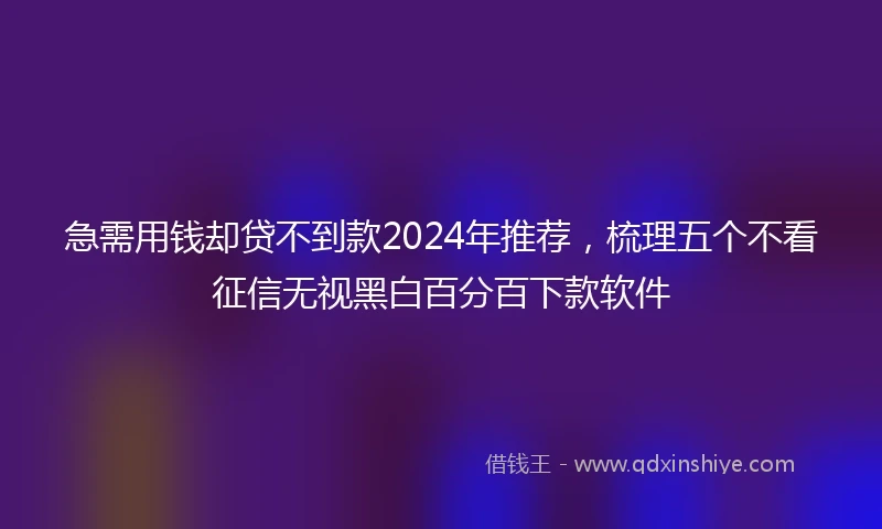 急需用钱却贷不到款2024年推荐，梳理五个不看征信无视黑白百分百下款软件