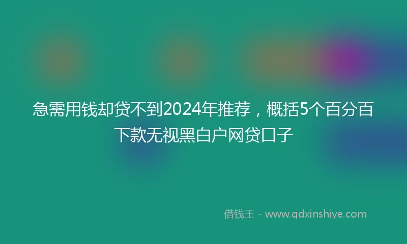 急需用钱却贷不到2024年推荐，概括5个百分百下款无视黑白户网贷口子