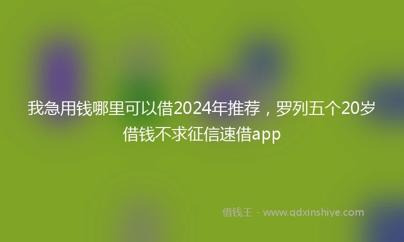我急用钱哪里可以借2024年推荐，罗列五个20岁借钱不求征信速借app