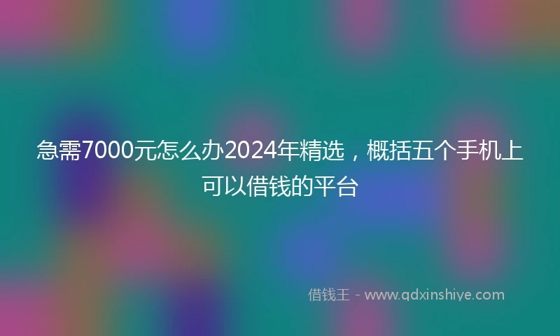 急需7000元怎么办2024年精选，概括五个手机上可以借钱的平台