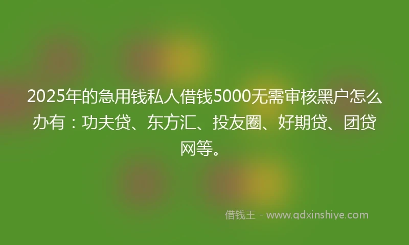 2025年的急用钱私人借钱5000无需审核黑户怎么办有：功夫贷、东方汇、投友圈、好期贷、团贷网等。