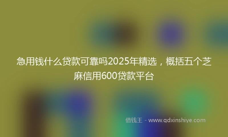 急用钱什么贷款可靠吗2025年精选，概括五个芝麻信用600贷款平台