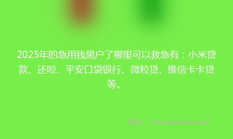 2025年的急用钱黑户了哪里可以救急有：小米贷款、还呗、平安口袋银行、微粒贷、维信卡卡贷等。