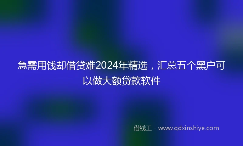 急需用钱却借贷难2024年精选，汇总五个黑户可以做大额贷款软件