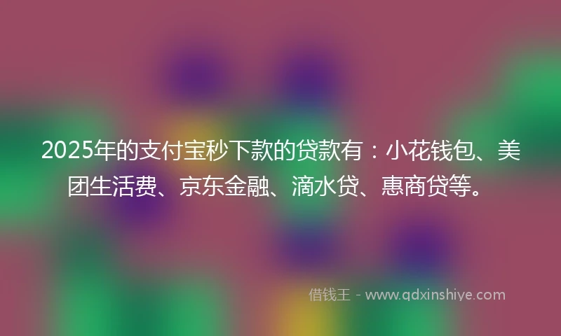 2025年的支付宝秒下款的贷款有：小花钱包、美团生活费、京东金融、滴水贷、惠商贷等。