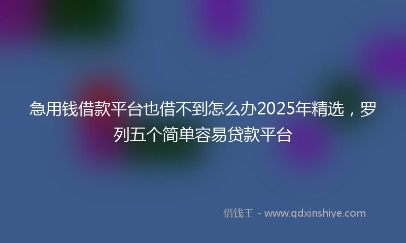 急用钱借款平台也借不到怎么办2025年精选，罗列五个简单容易贷款平台